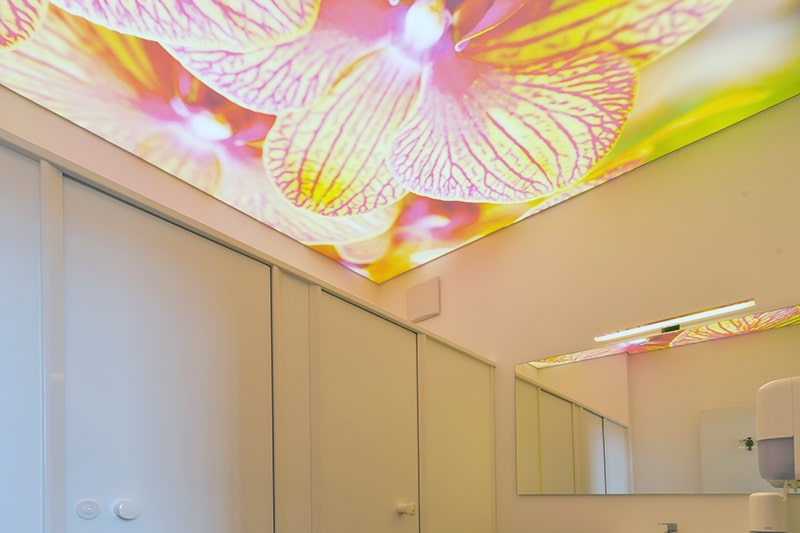 Galerie Printspanndecke Printdecke Motivdecke bedruckte Spanndecke WC blumen