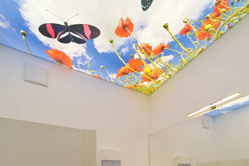 Galerie Printspanndecke Printdecke Motivdecke bedruckte Spanndecke blumenwiese WC